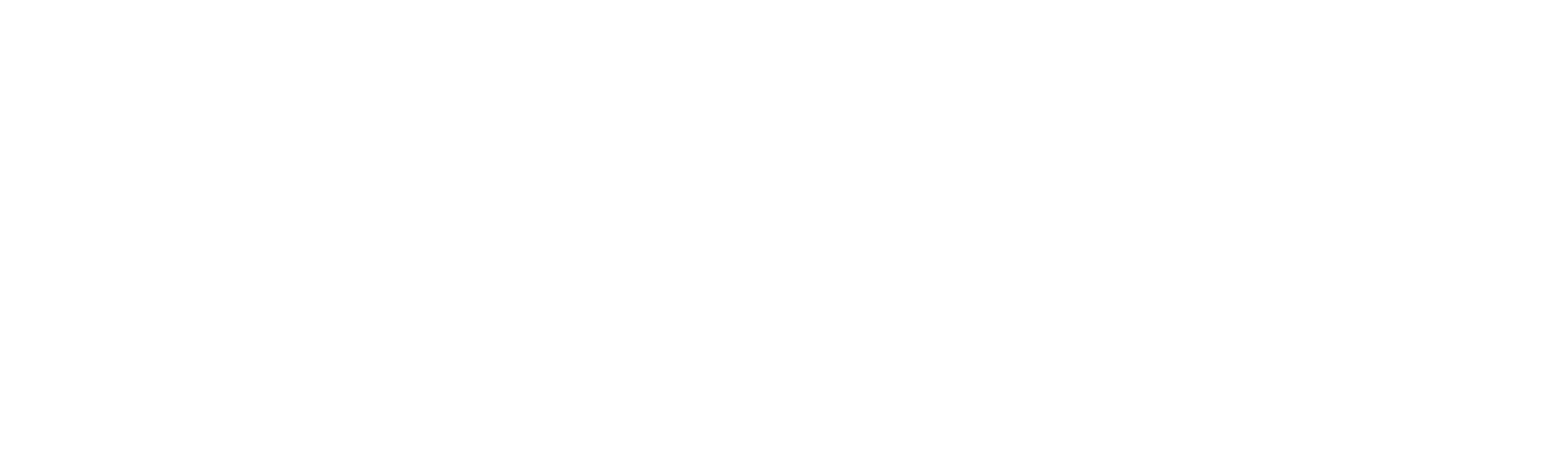 Allergan an AbbVie Company logo